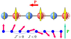 Non-centrosymmetric magnetic order that can induce ferroelectricity.