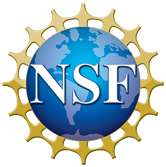 National Science Foundation 4-color logo with shading