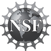 National Science Foundation grayscale logo