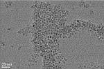 TEM image of 5nm ZnO nanoparticles